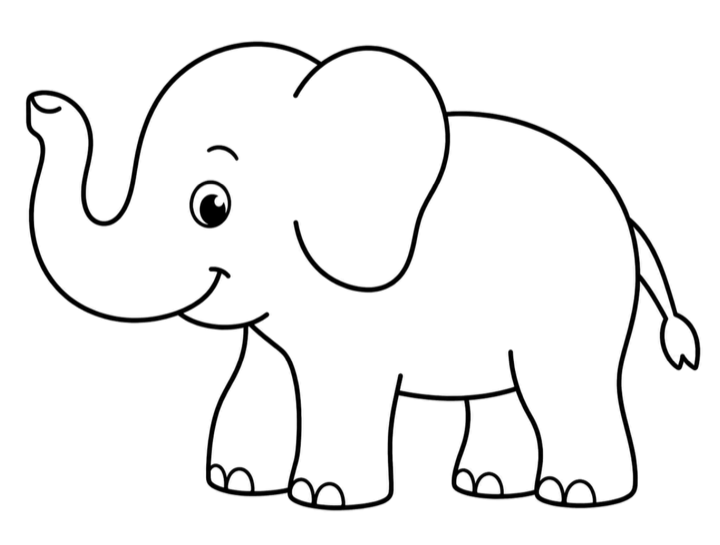 Elephant coloring picture
